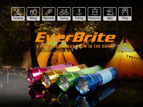 Everbrite pack led - 4-pack,